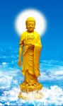Phật Thuyết Đại Thừa Vô Lượng Thọ Trang Nghiêm Thanh Tịnh Bình Đẳng Giác Kinh (Tập 364)